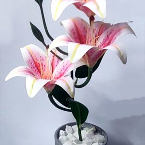 ceramic pot with arrangements