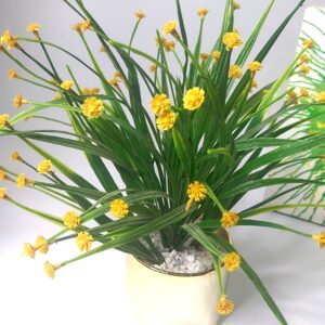 ceramic pot with arrangements