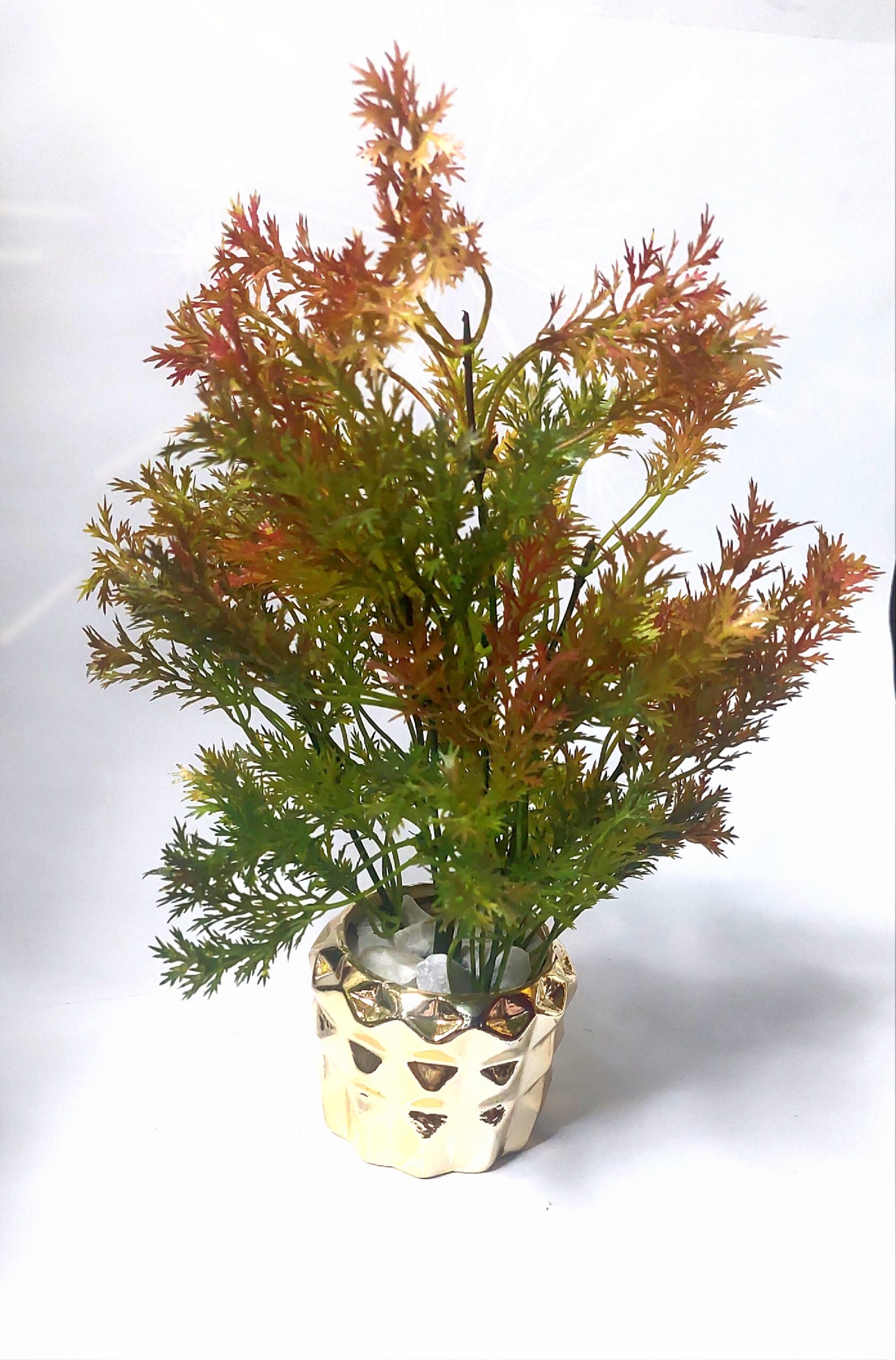 ceramic pot with arrangements